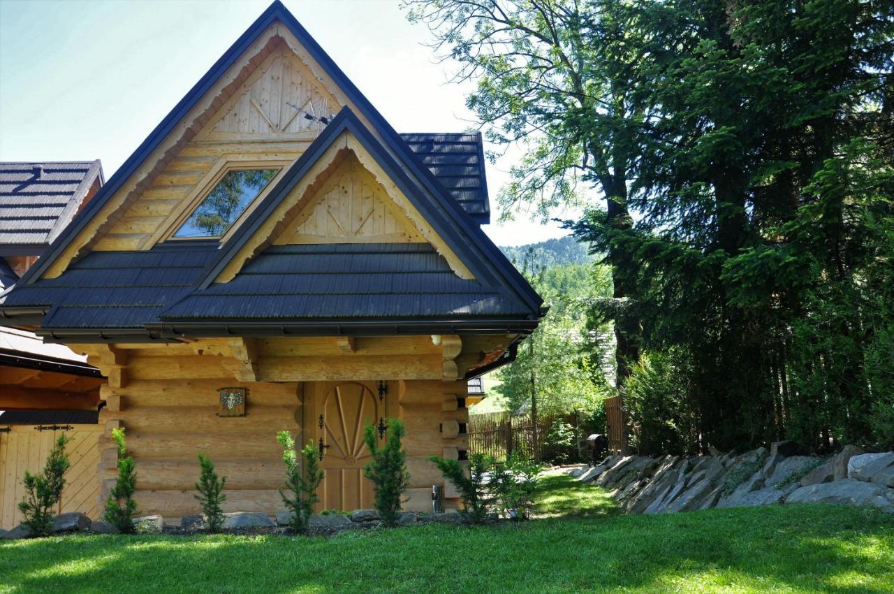 Baran, Domek Z Widokiem Na Giewont 扎科帕内 外观 照片